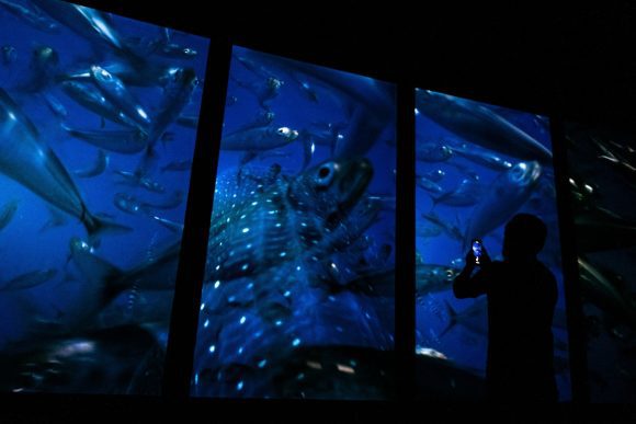 Oceanário de Lisboa