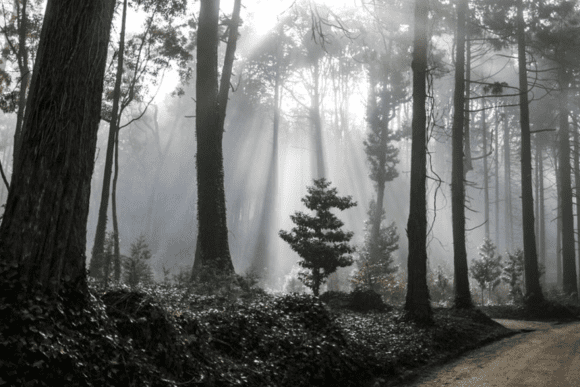 places to visit in sintra