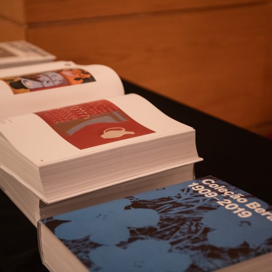 museu coleção berardo