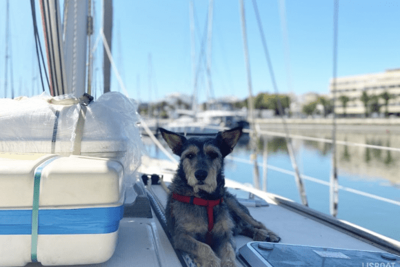 family day out lisbon