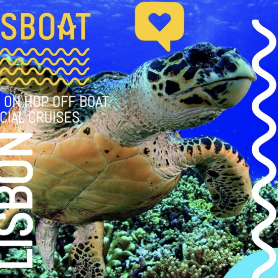 best sunset boat trip lisbon