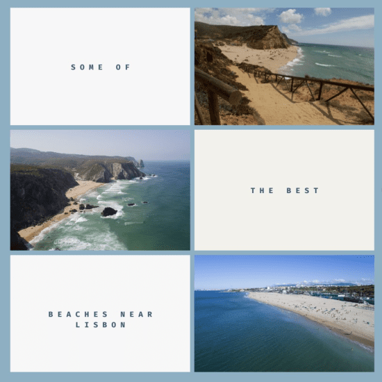 best food and wine tours lisbon