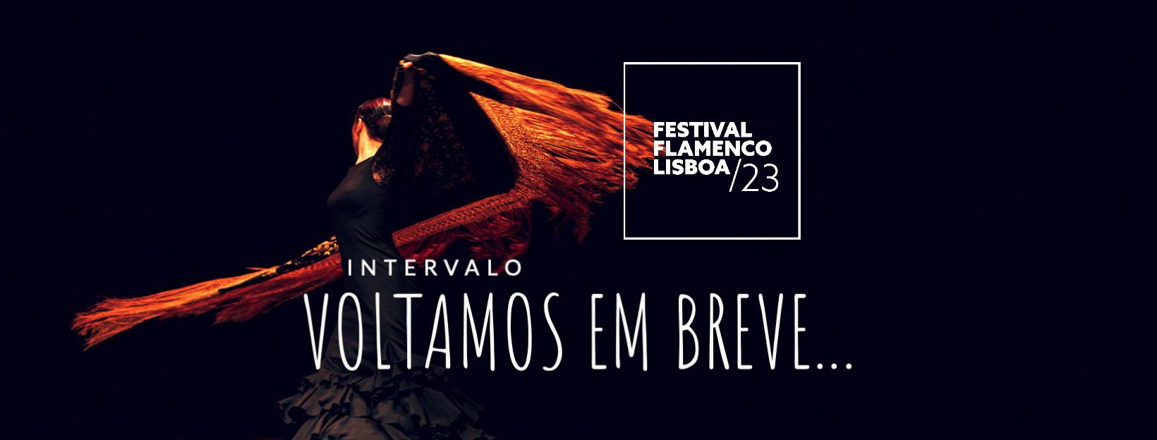 Lisbon Flamenco Festival Cover
