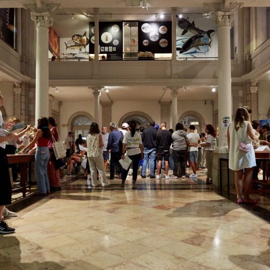 Museu Nacional de História Natural e da Ciência